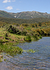 Parc Natural de l'Albera